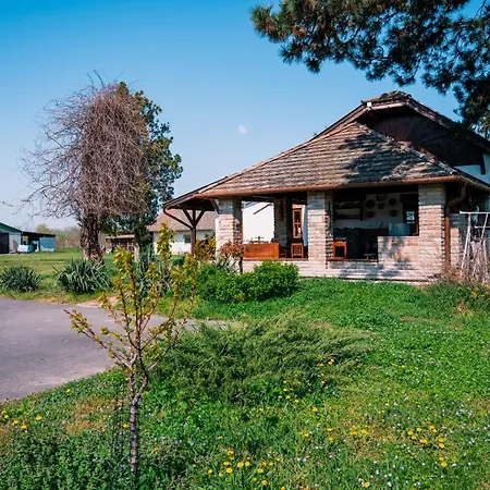 Sun Vizisport Paradicsom *