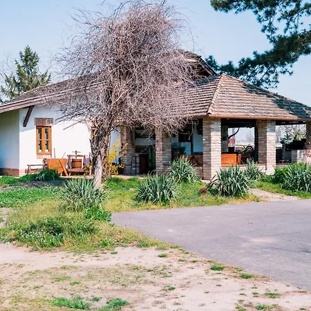 Sun Vizisport Paradicsom * Hódmezővásárhely