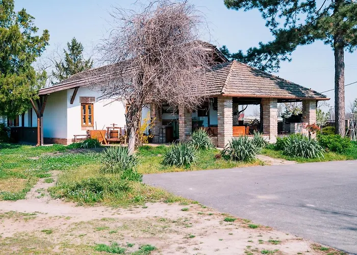 Sun Vizisport Paradicsom * Hódmezővásárhely